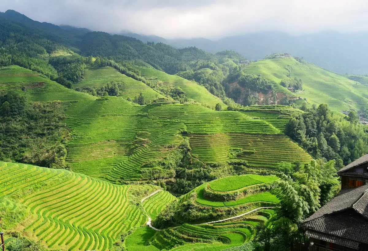 Sunrise over Longji Rice Terraces